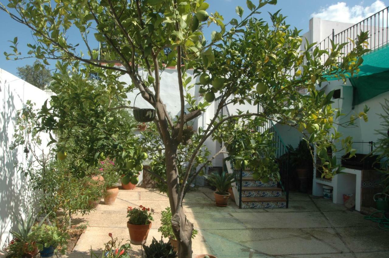 El Romerito Guest House Zalamea la Real Ngoại thất bức ảnh